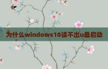 为什么windows10读不出u盘启动