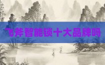 飞斧智能锁十大品牌吗