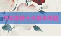 汽车保养十大技术问题