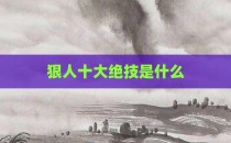 狠人十大绝技是什么