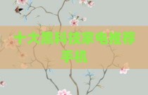 十大黑科技家电推荐手机