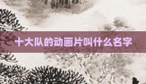 十大队的动画片叫什么名字