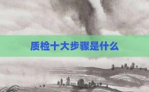 质检十大步骤是什么