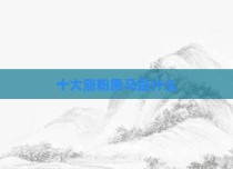 十大涨粉黑马是什么