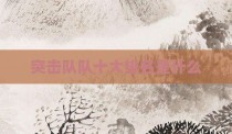 突击队队十大排名是什么