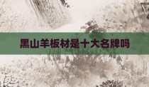 黑山羊板材是十大名牌吗