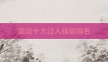 足坛十大过人技能排名