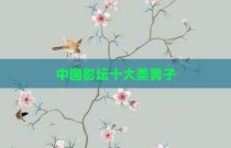 中国影坛十大美男子