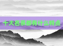 十大名茶都有什么特点