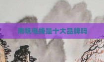 南帆电线是十大品牌吗