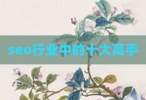 seo行业中的十大高手