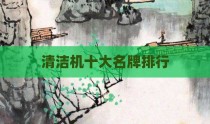 清洁机十大名牌排行