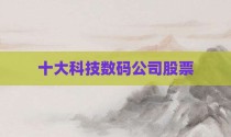 十大科技数码公司股票