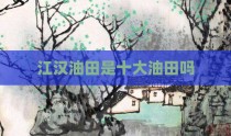 江汉油田是十大油田吗