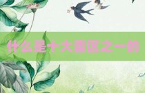 什么是十大雷区之一的