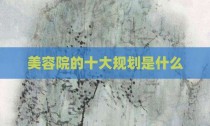美容院的十大规划是什么
