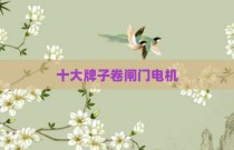 十大牌子卷闸门电机