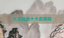 火王灶是十大名牌吗