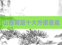 山西男篮十大外援是谁