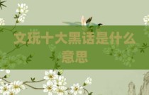 文玩十大黑话是什么意思