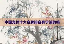 中国光伏十大名牌排名有宁波的吗