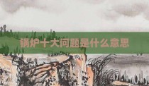 锅炉十大问题是什么意思