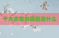十大失意的旗舰是什么