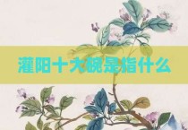 灌阳十大碗是指什么