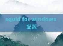 squid for windows 配置