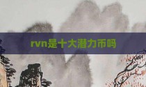 rvn是十大潜力币吗