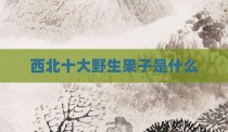 西北十大野生果子是什么