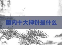 国内十大神针是什么