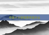 中国十大故意事件是什么