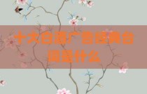 十大白酒广告经典台词是什么