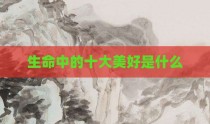 生命中的十大美好是什么