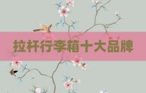 拉杆行李箱十大品牌