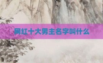 网红十大男主名字叫什么