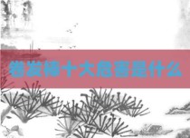卷发棒十大危害是什么