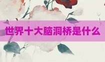 世界十大脑洞桥是什么