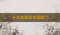 十大名牌实木厨柜门