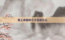 晚上养猫的十大忌是什么