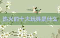 热火的十大玩具是什么