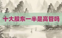 十大股东一半是高管吗