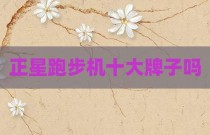 正星跑步机十大牌子吗