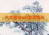 十大最佳wii游戏格斗