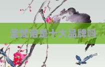 圣梵诺是十大品牌吗