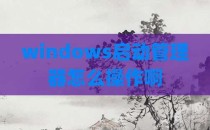 windows启动管理器怎么操作啊