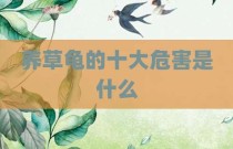 养草龟的十大危害是什么