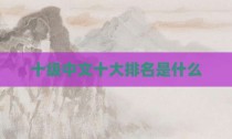 十级中文十大排名是什么