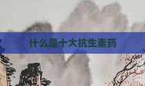 什么是十大抗生素药